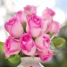 Thomas Taylor Sr. Obituary